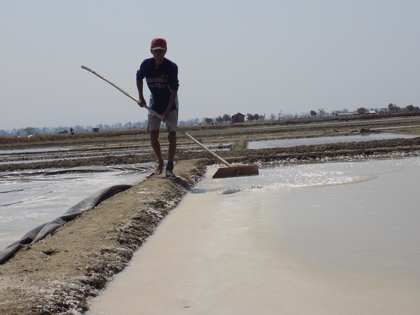 Pabrik Garam Siap Serap 25 Ribu Ton Produksi Petani